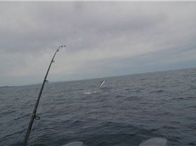 Sloney's Little black