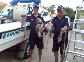 good catch behind gardem Island