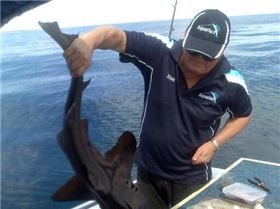 love getting sucked off by a port jackson