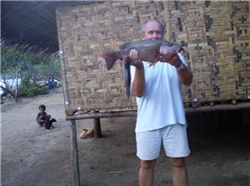 Mangrove jack from the rivermouth