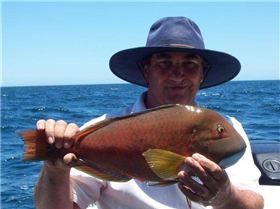 dads first bald chin