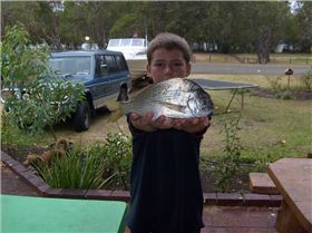 a 40cm bream from the Mary street lagoon!