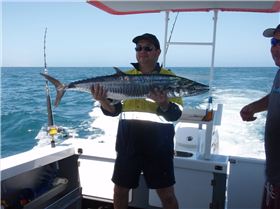 Exmouth Mackerel