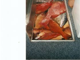 mix bag in kill tank