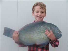 Need new gunnel rubber