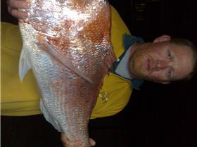 9.1KG SNAPPER