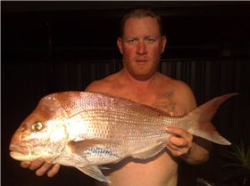 5.5kg snapper