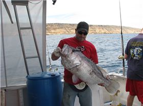 I think he ate to much