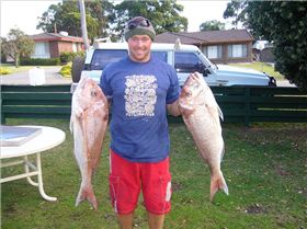SOME NICE PINKS FROM THE TINNY IN ALBANY