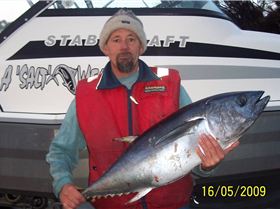 20 Kg Southern Bluefin Tuna