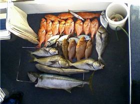 esperance great place to live!