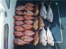 esperance great place to live!