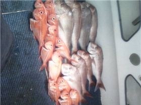 esperance great place to live!