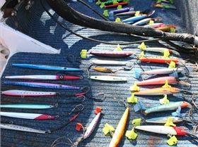 08-14-7 Onslow Fishing 095