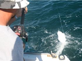 08-09-7 Exmouth Fishing 077