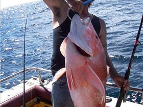 James and Allan having a red time.