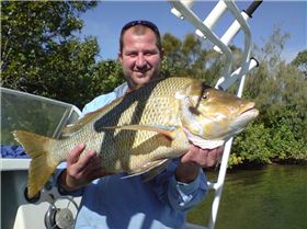 Spangled Emperor - caught on a floating pillie...