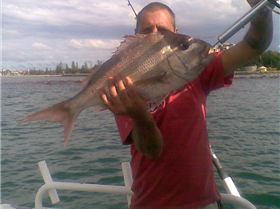 6kg snapper    4m  depth