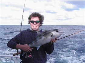 Abrolhos Islands "09" trip. all caught on 6lb gear