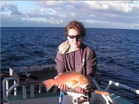 Abrolhos Islands "09" trip. all caught on 6lb gear