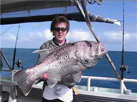 Abrolhos Islands "09" trip. all caught on 6lb gear