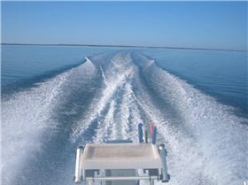 Leaveing the rat race behind