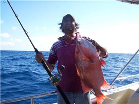 Allan, James and Steve Extreme doing it again.