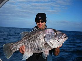 OMG ITS ANGELINA JOLIE