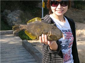 thats foobi---squidrage