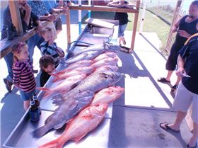 thats right there are no more fish in the ocean cause we are greedy bastards!