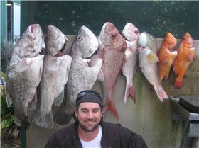 15 meters out from ya mums