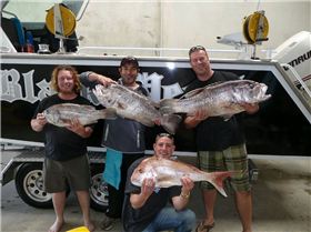 Chriso loves the WHAT?  ............. c0ck-->no