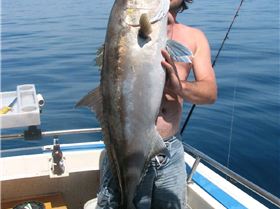 maybe one day i can get a woman