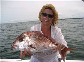 Shelli's 55cm snapper