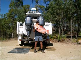 red emperor 13.65kilos