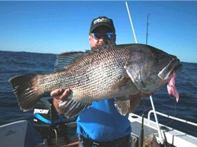 dhuie on a lucanus jig