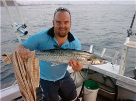 another day at palm beach reef