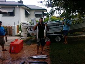 another day at palm beach reef