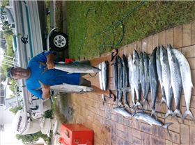 another day at palm beach reef