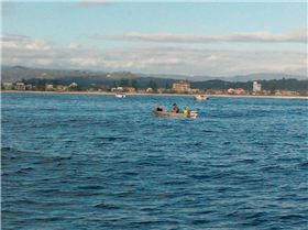 another day at palm beach reef