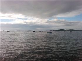 another day at palm beach reef