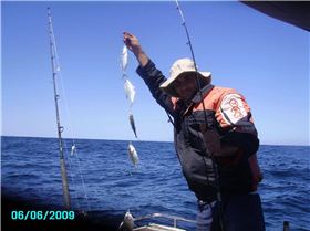 GILLIGANS ISLAND 002