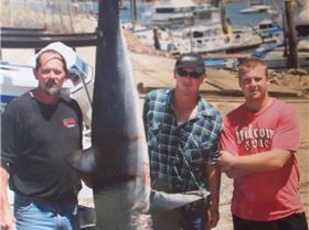 Tas. shark comp we came third 71 -8 kg