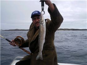 BEAU......TI.....FUL!!!!