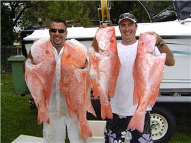 Jason & Drew and a few Reds!