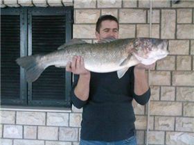 19880 104118716284439 100000589344384 108933 6884798 nDAVOR