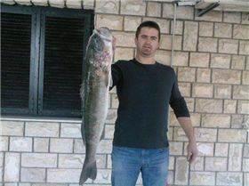 19880 104119036284407 100000589344384 108941 1794613 nDAVOR