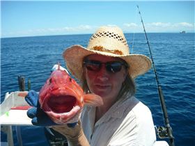Scruffy outfishes Legaless again at Batt reef