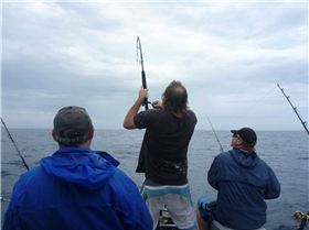 edsac classic2010 (pinkie heven)