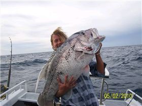 nice dhuie off bunno